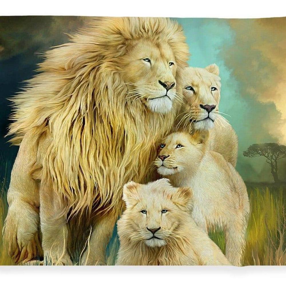 Meet your Posher, Juan